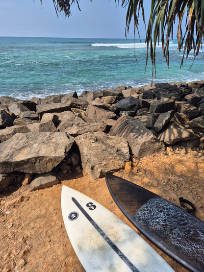 Holy Melony - Ocean/Wavepool Board